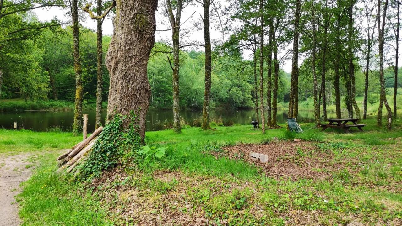 Cap Nature - T4 Et T3 En Perigord Vert - Ideal Pros Et Groupes Max 18P Champniers-et-Reilhac Exterior photo